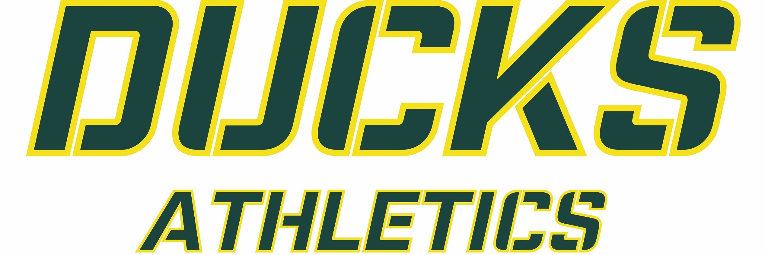 ntxducks's profile banner image