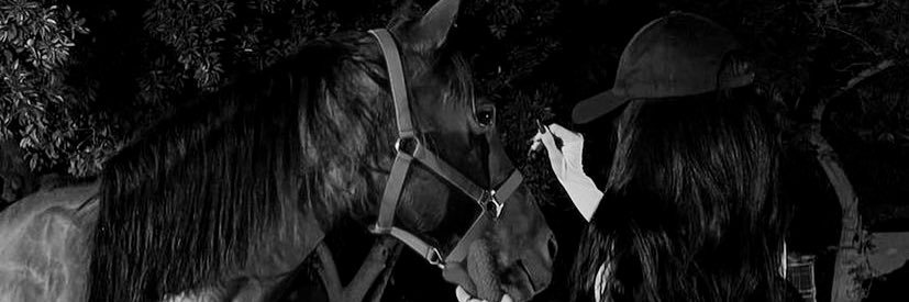 ech77_'s profile banner image