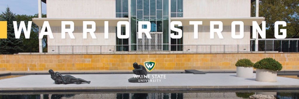 WSUSOMDIVERSITY's profile banner image