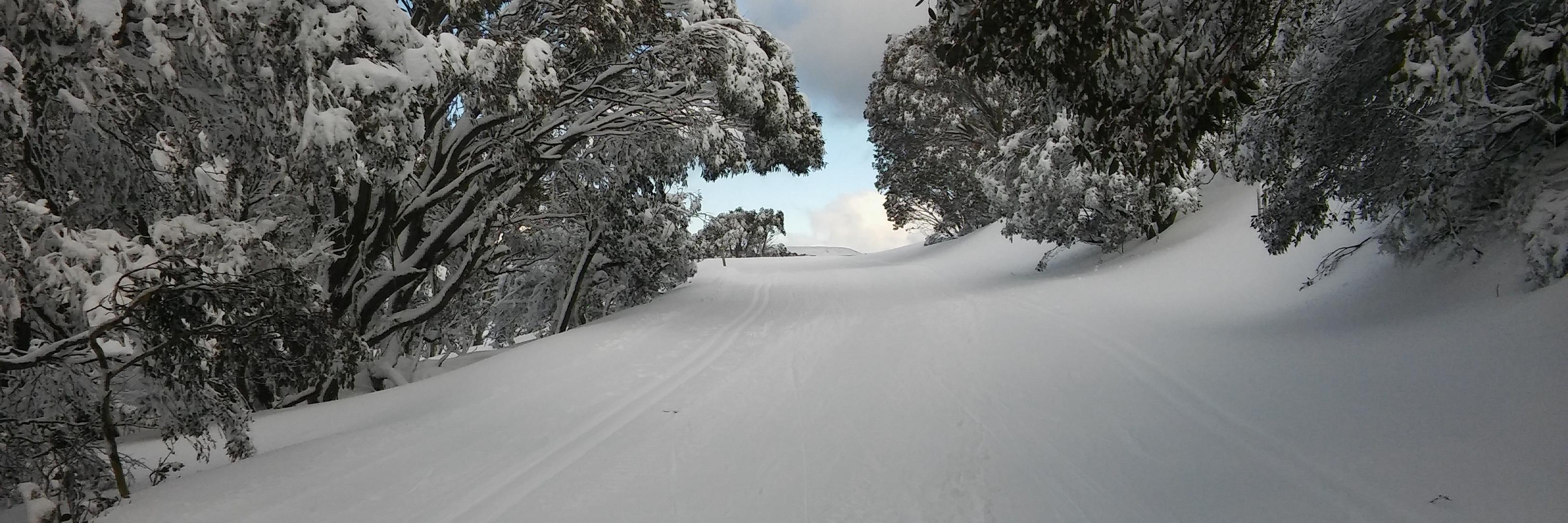 EricStorvall's profile banner image