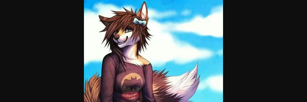 ZaraFuckingfox's profile banner image