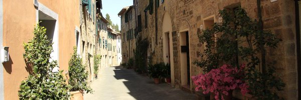 AleHayon Profile Banner