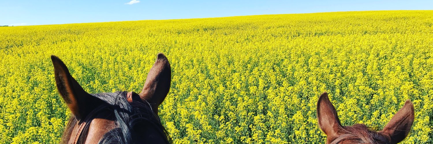 Steph Partridge banner