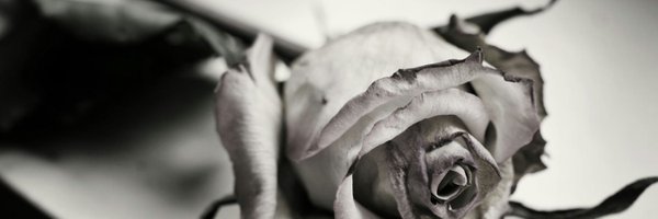 Dxne0_ Profile Banner