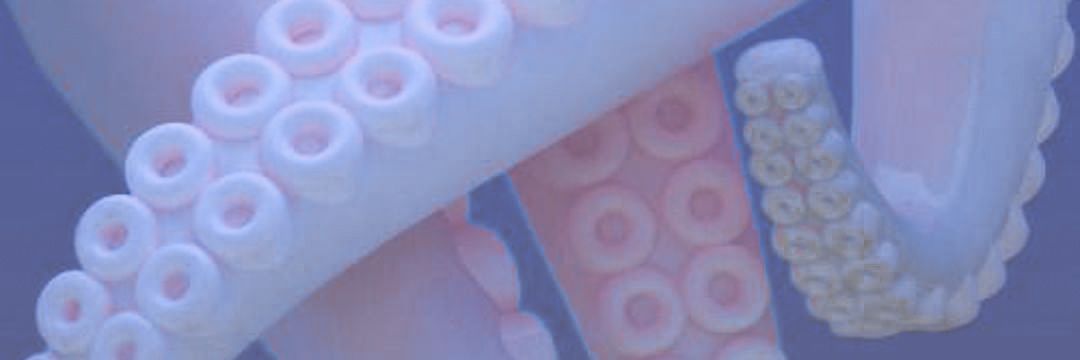 ˗ˏˋ Lexi ˎˊ˗ banner