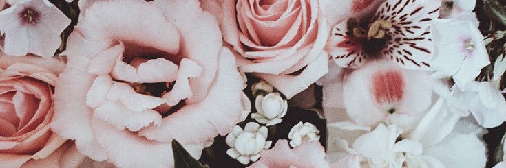 poutinarama's profile banner image