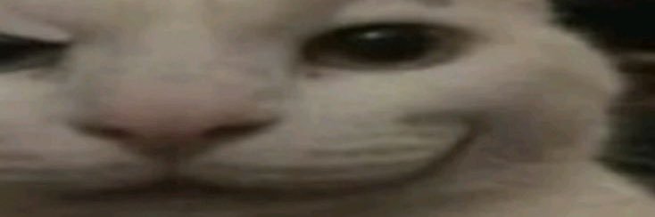 SansWolff's profile banner image
