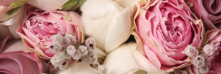 ppp111z049's profile banner image
