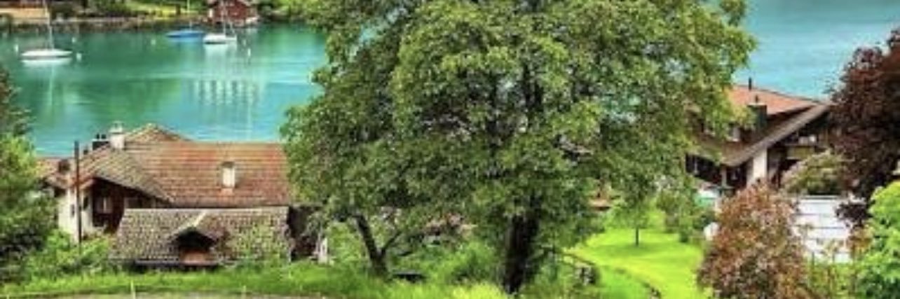 fofo1o01's profile banner image