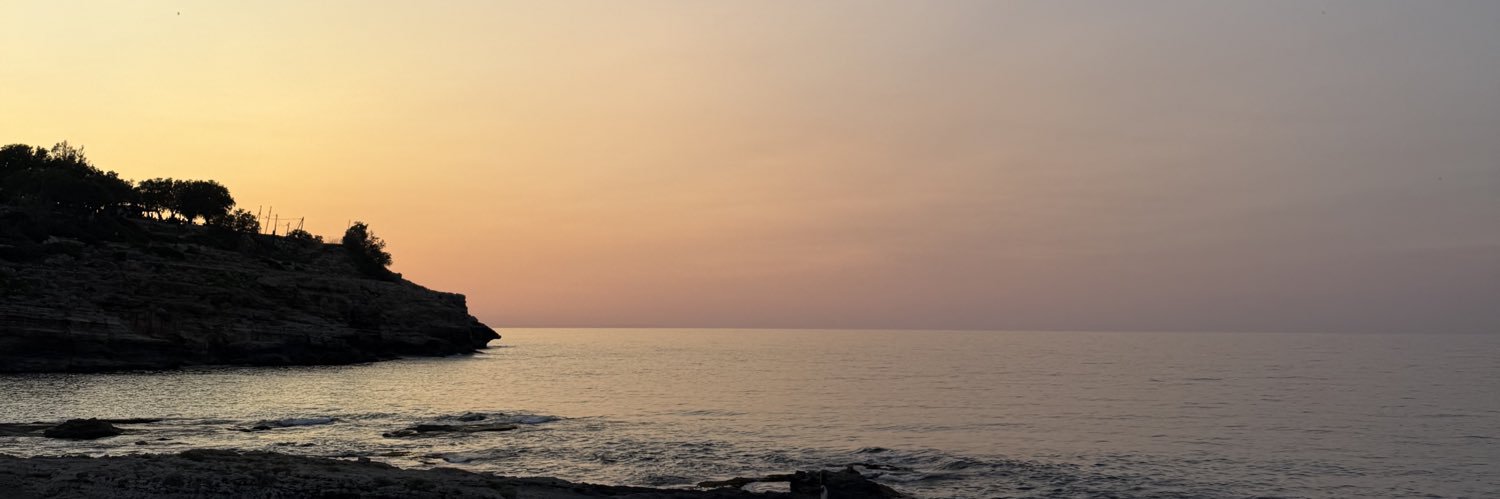 tia_mclean's profile banner image