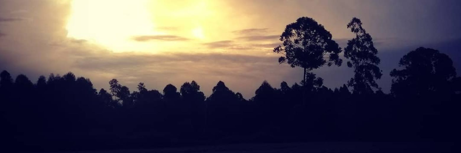 The Mandalorian banner