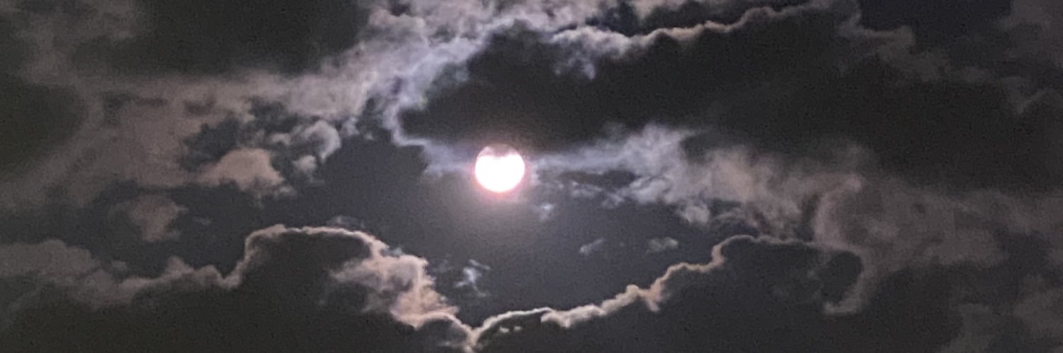 ❆ banner