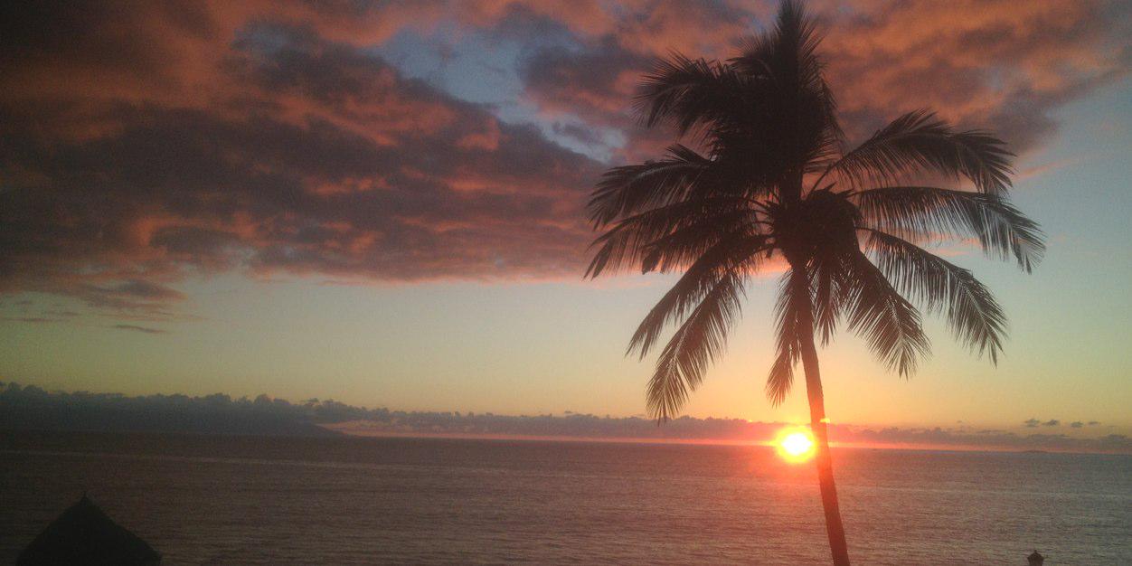 Karla Nielsen banner