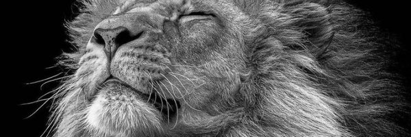 nbh_one Profile Banner