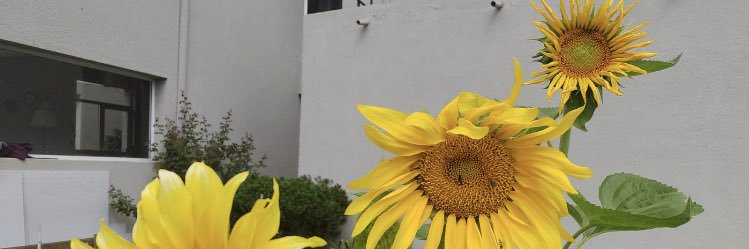 JPav03's profile banner image