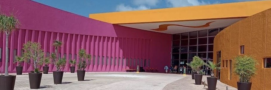 Paola García A banner