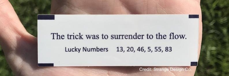 Roni Manyevitch banner