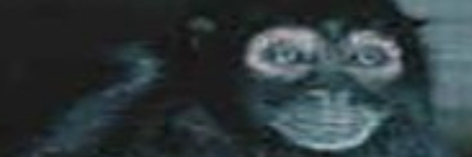 zelenaprisera's profile banner image