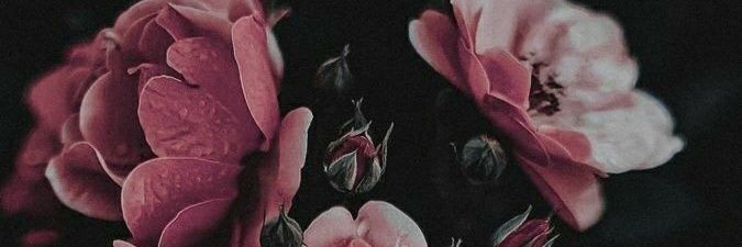 a_scheherazade's profile banner image