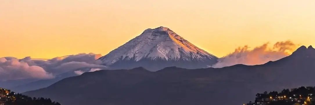 didufdz's profile banner image