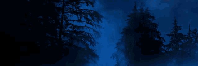 geeyorge's profile banner image