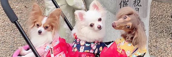 tomi8315's profile banner image