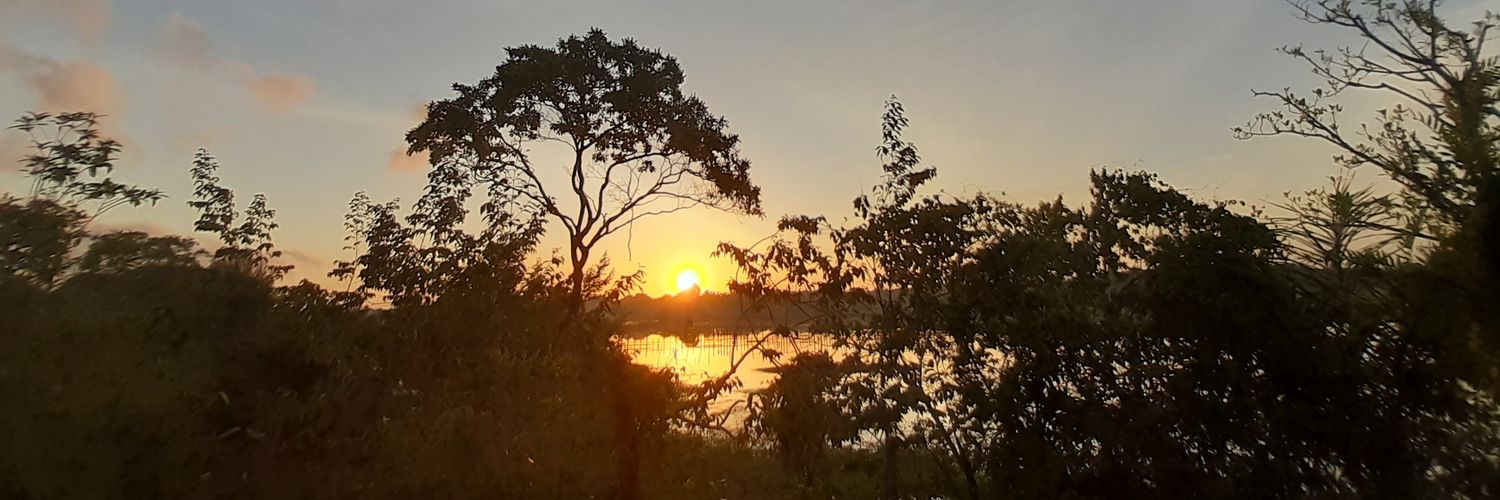 yashluna's profile banner image