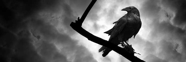 ravenman's profile banner image