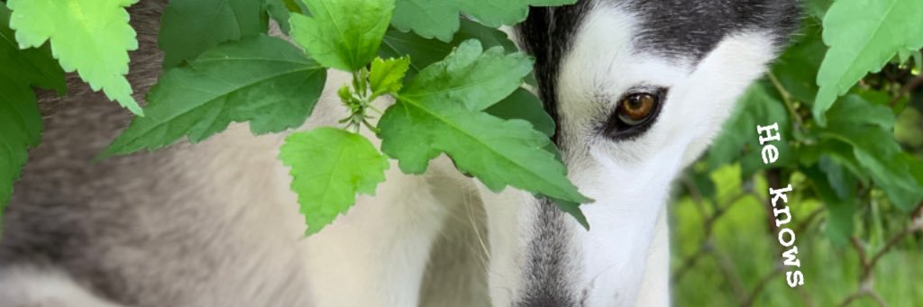 belKassa_'s profile banner image