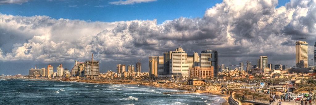 Naveh D. Shetrit banner