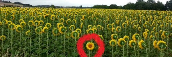 أحمد الشلاحي banner