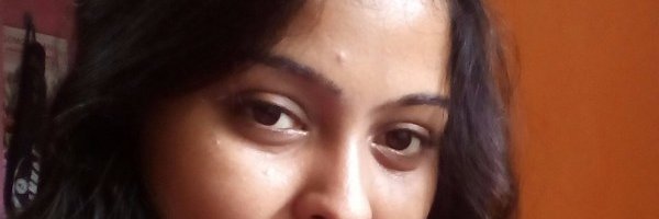 RoyDiptiroy's profile banner image