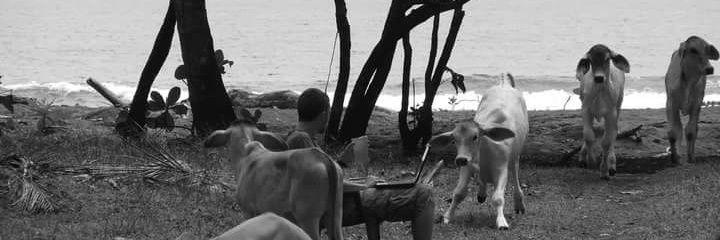 Rich Phillips banner