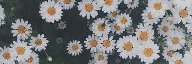AndiiAvila's profile banner image