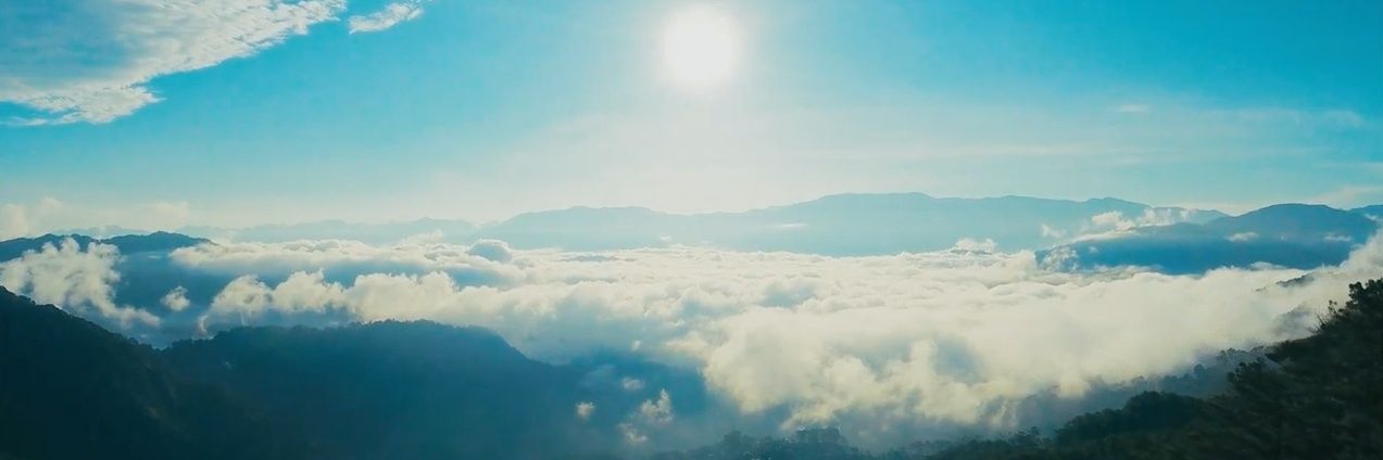 ≡ 𝐋𝐃 banner