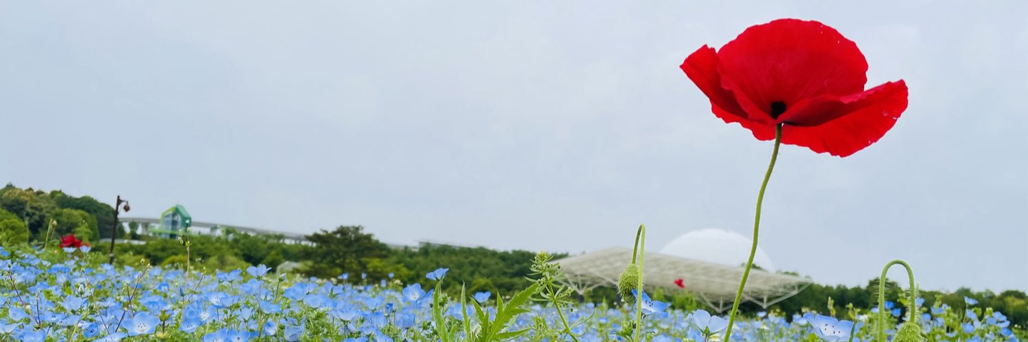 がくげいぶÄみた banner