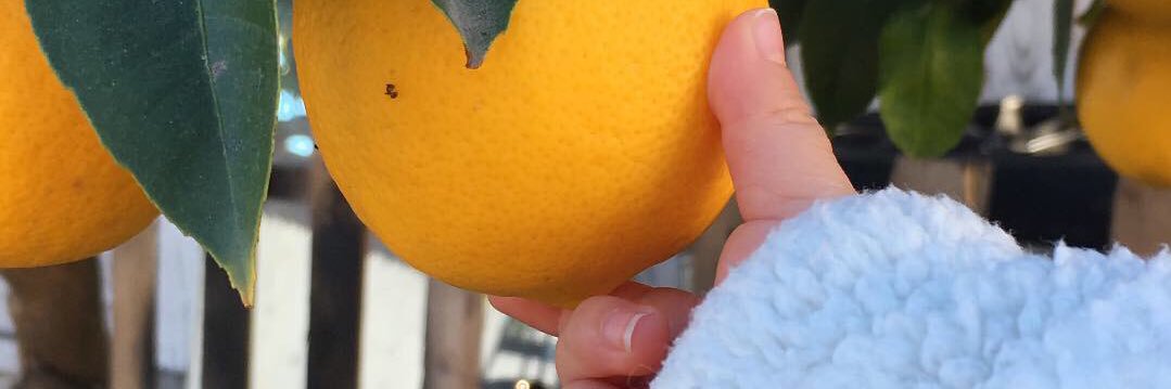 peachynessa's profile banner image