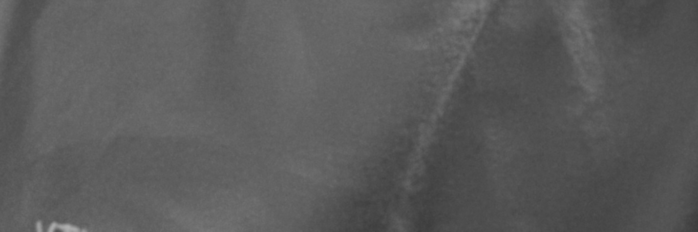 SharonC11's profile banner image