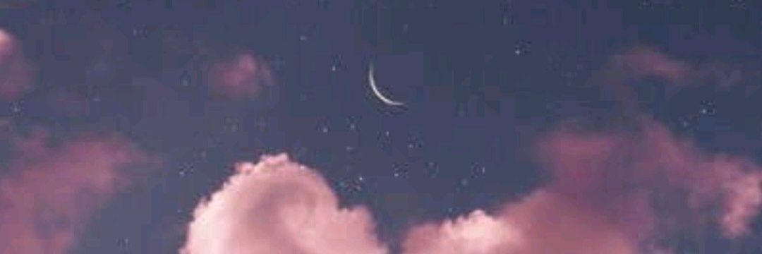 cami_monteeiro's profile banner image