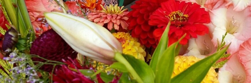 Kingsbridge WI banner