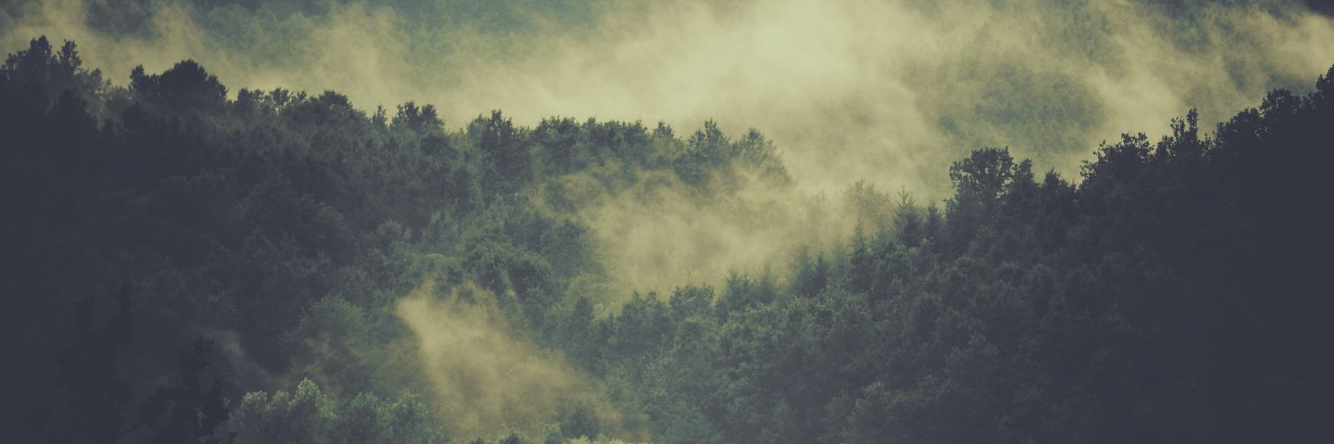 OneFlew_M9's profile banner image