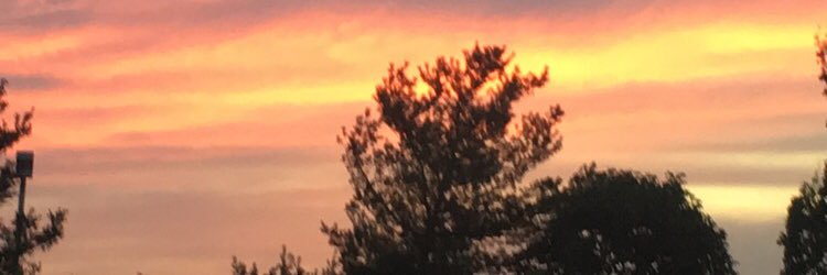 casey_lemaster's profile banner image