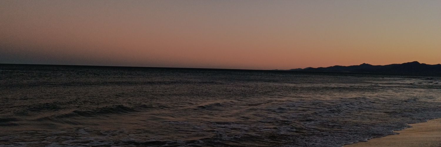 Homme qui sent la vanille 🇵🇸 banner