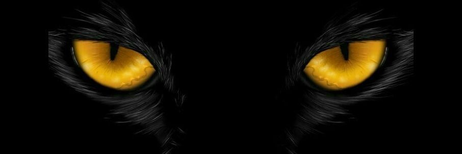 DaniCazonD's profile banner image