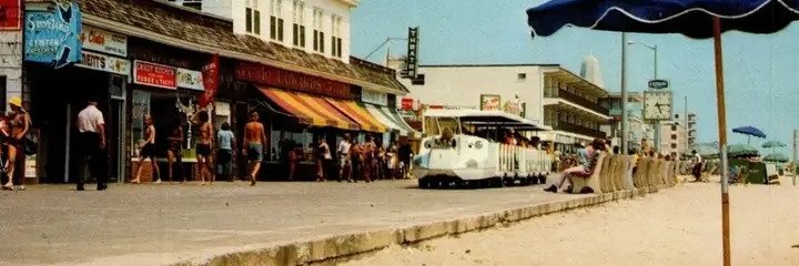 🎠 All Things OC 🎠 banner