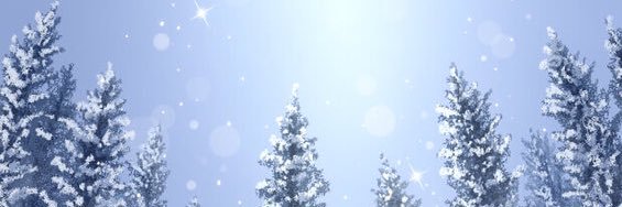 dozimaru_kun's profile banner image