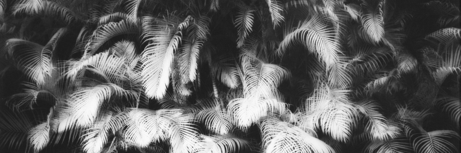 SoleneVK's profile banner image