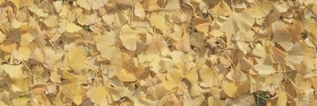 peach_fw's profile banner image