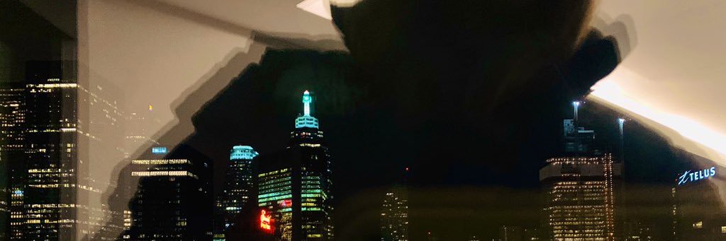 t_meyle's profile banner image