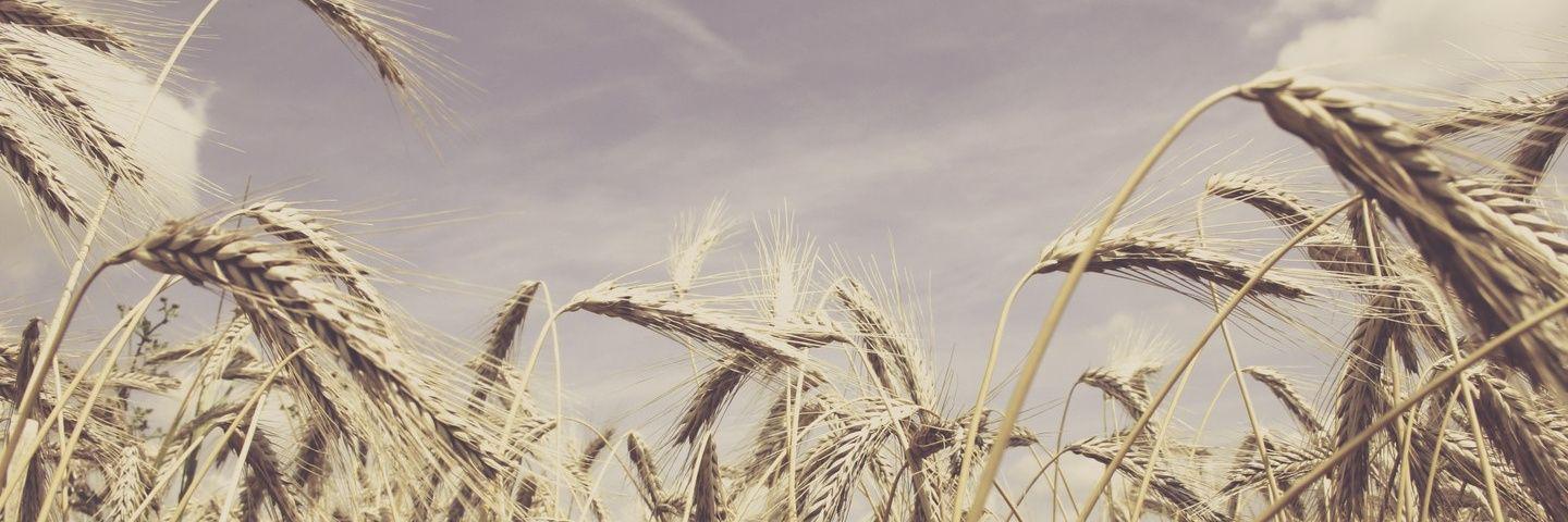 EmJay_5's profile banner image
